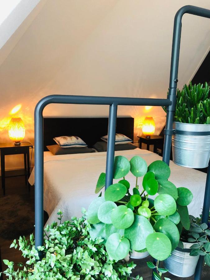 Happy Bentveld Guesthouse 외부 사진